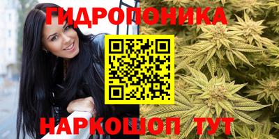 индика Ангарск