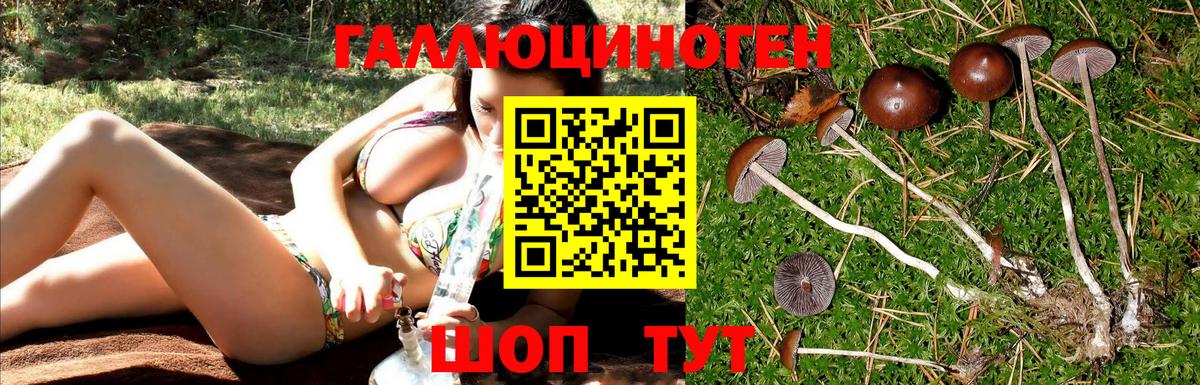 Выкса  Галлюциногенные грибы прущие грибы  Псилоцибиновые грибы Psilocybe  Вход с VPN 