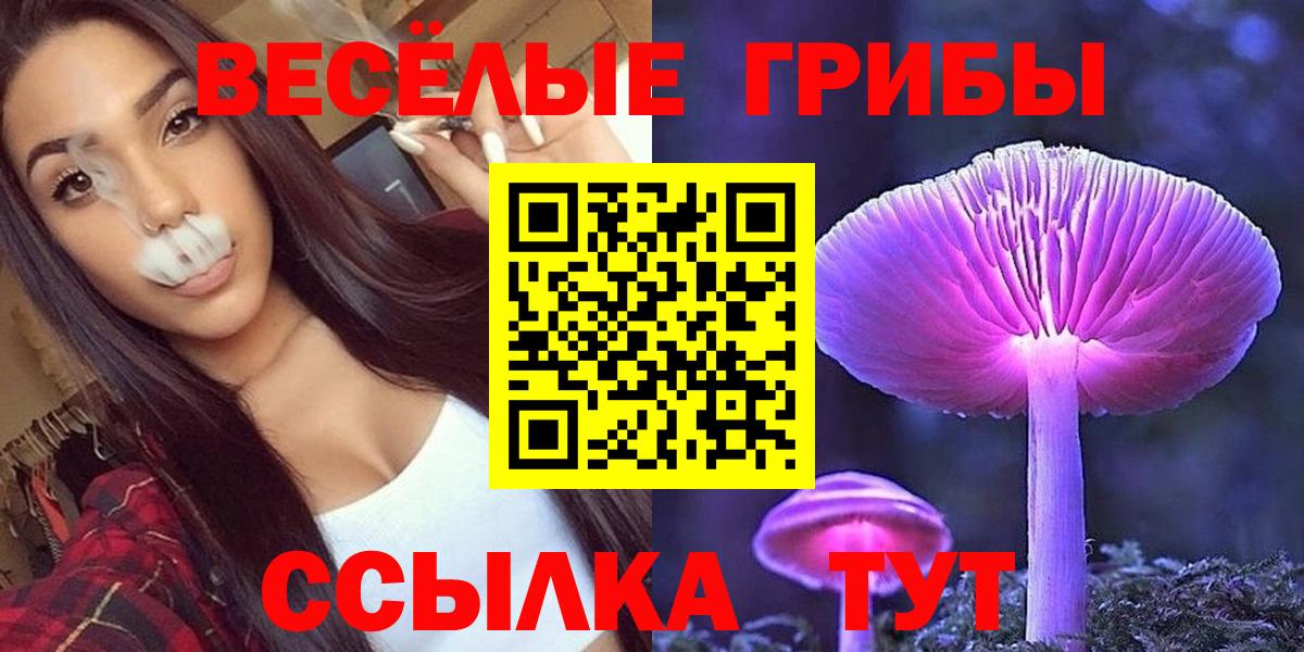 Галлюциногенные грибы Psilocybe Выкса